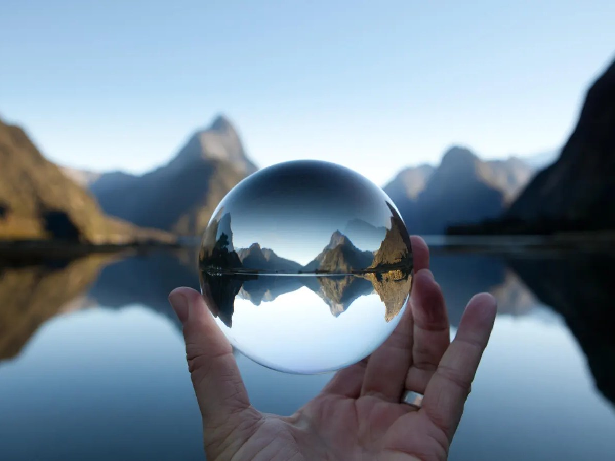 Fresh Perspective