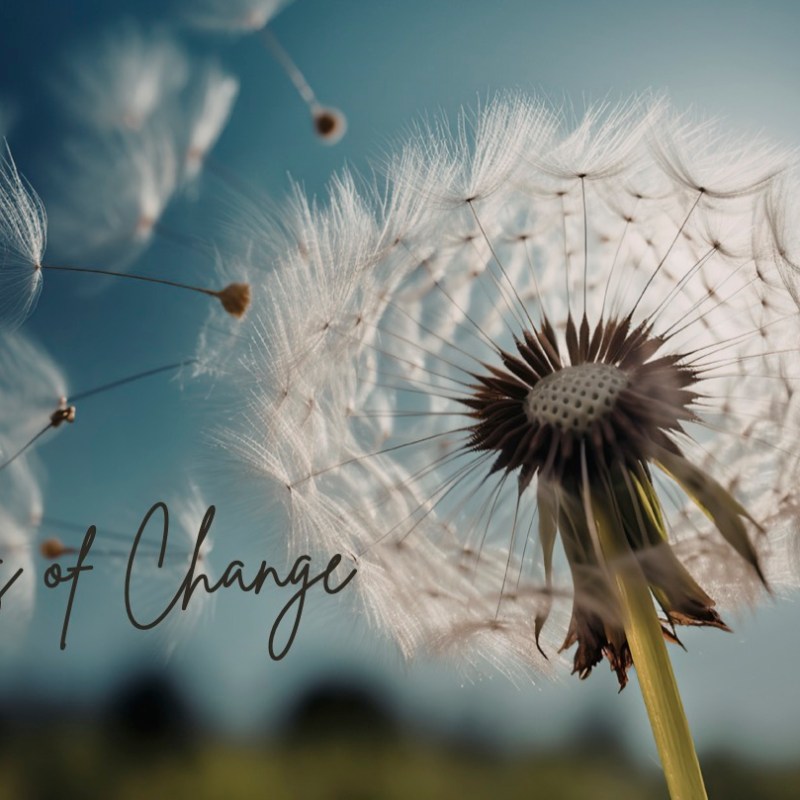 Winds of Change: Seasons of&nbsp;Shift